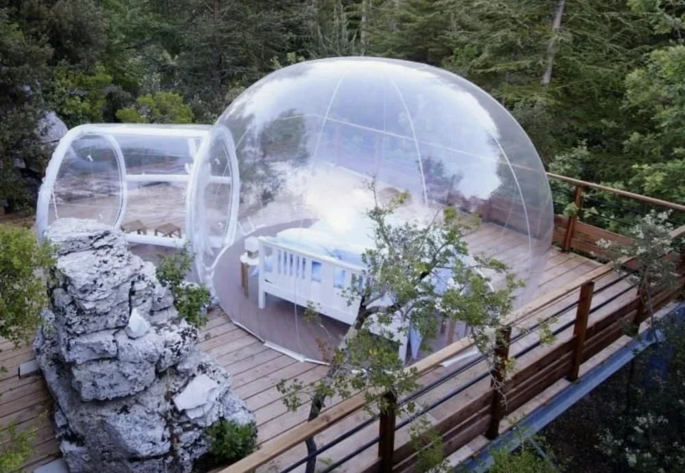 where to buy transparent bubble tent